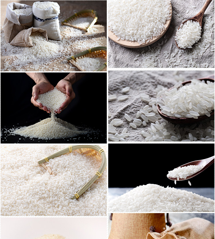 稻谷生大米熟米饭白米饭一碗161高清图片美团外卖米饭图片素材图