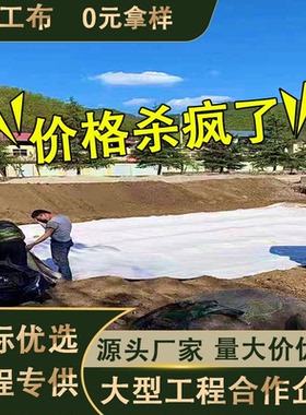 白色工程用无纺土工布保温保湿滤水透水水泥路面养护护坡加厚毛毡