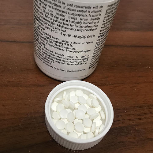 宠物螺内酯片20mg保钾猫咪狗狗利尿水肿腹水辅助用10粒拆销心脏