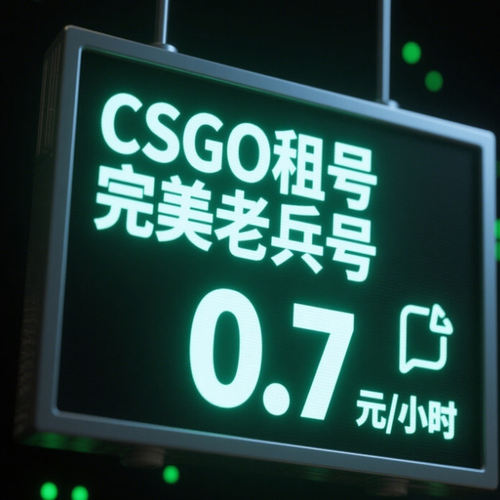 【首单免费】CSGO租号完官匹美5E龙狙永恒野荷宝石爪蝴蝶刀M9