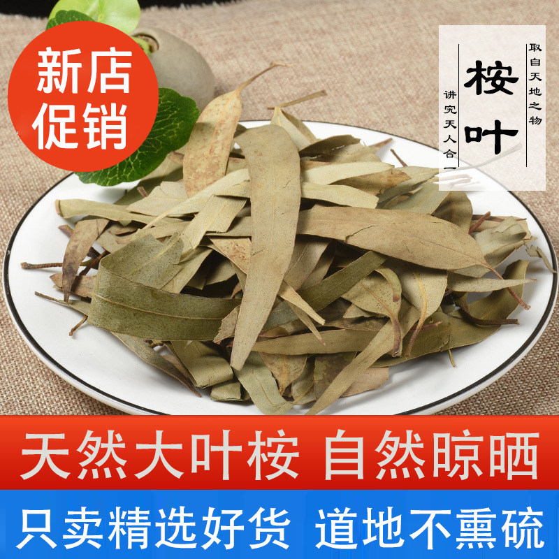 桉树叶中药材大叶桉树叶零售新货不熏硫桉叶散装500g