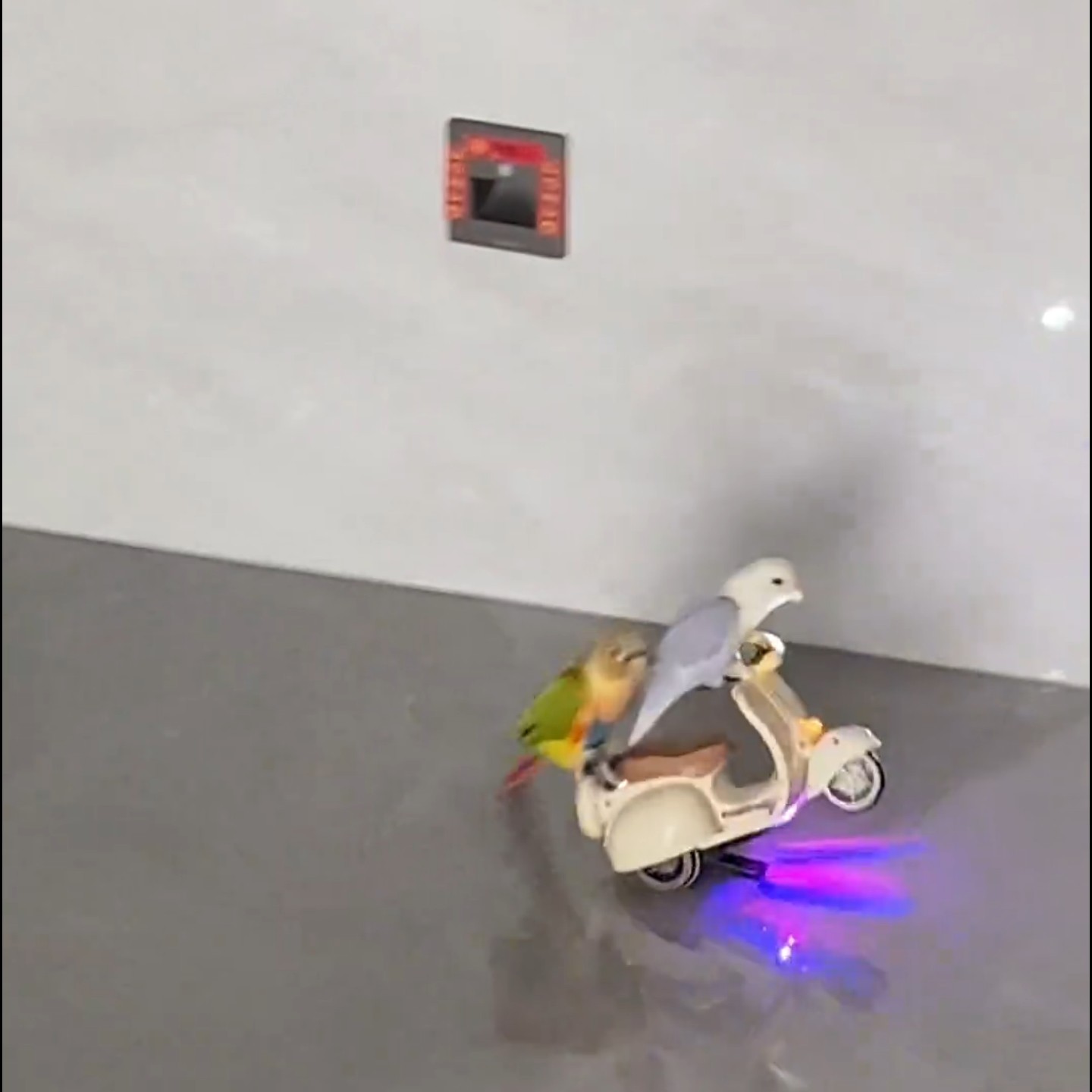 特技摩托宠物电动车旋转炫技三轮车玩具车小宠物玩具解闷娱乐玩具