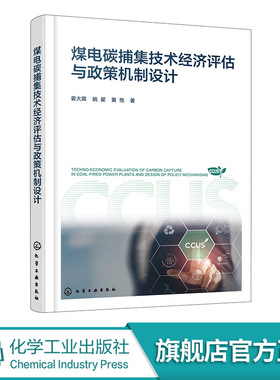 煤电碳捕集技术经济评估与政策机制设计 国内外CCUS技术最新进展 规模化示范项目案例 技术经济评估参考 能源行业政策制定者参考书