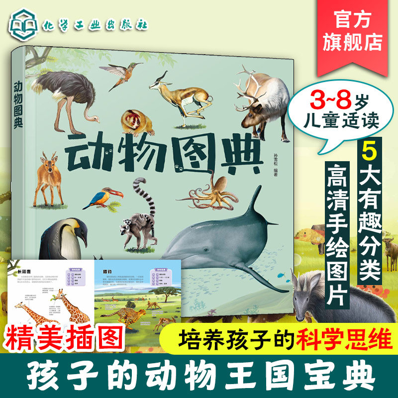官方正版 动物图典 孙雪松 3-8岁儿童孩子幼儿园低年级一二三年级动物王国宝典科普读物图书籍 5大分类104种动物 真实手绘图片