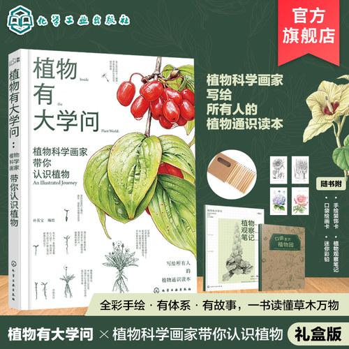 画了30年植物的科学绘画师写给所有人的植