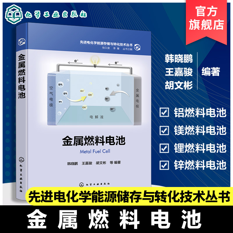 金属燃料电池 先进电化学能源存储与转化技术丛书 金属燃料电池技术及关键材料 电化学新能源技术 电催化材料成果 高校专业参考书
