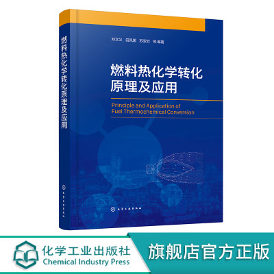 燃料热化学转化原理及应用 邓文义 煤粉生物质等燃料的制备 热化学转化原理计算系统技术 能源动力工程环境科学与工程专业师生参阅