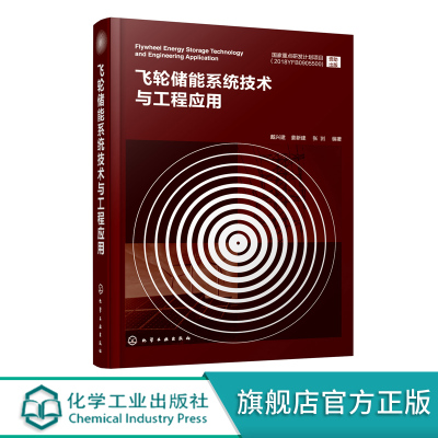 正版 飞轮储能系统技术与工程应用 戴兴建 飞轮储能关键设备设计应用飞轮储能物理储能技术电储能技术飞轮储能系统设计应用书籍
