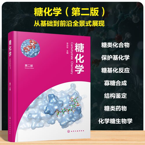 糖化学（第二版） 李中军  主编 化学工业出版社