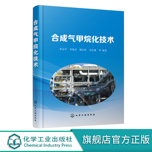 煤化工甲烷化关键技术 合成气甲烷化技术 成气甲烷化反应热力学和动力学 合成气甲烷化技术背景 合成气甲烷化催化剂关键技术应用书