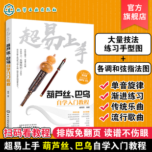 超易上手 葫芦丝 巴乌自学入门教程 葫芦丝教材葫芦丝书教材葫芦丝教程书初自学习入门零基础流行音乐曲简谱子书籍葫芦丝演奏技法
