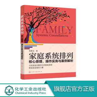 家庭系统排列 核心原理 操作实务与案例解析 家庭矛盾和解方法大全 家庭关系管理书籍 夫妻 亲子关系处理技巧书籍 社会心理学