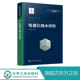 制备纳米材料电子传递机制应用 正版 电催化纳米材料 有机分子合成电催化纳米材料 纳米材料前沿 电化学电催化学表面材料科学书籍