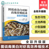 养殖尾水综合处理技术 图说南美白对虾高效养殖技术 水产养殖参考书籍 养殖模式 与技术 全彩升级版 对虾生物学结构特征与生态习性