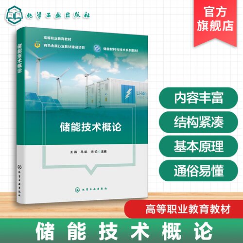储能技术概论 王燕 碳达峰 碳中和 氢储能 电化学储能 机械储能 热储能 电磁储能 储能上下游企业科研机构 储能材料与技术系列教材