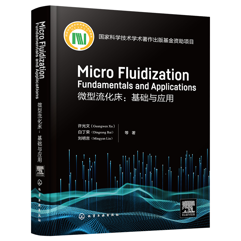 微型流化床 基础与应用 Micro fluidization: Fundamentals and Applications英文 微型流态化基本原理 流体力学特性 化工专业参考