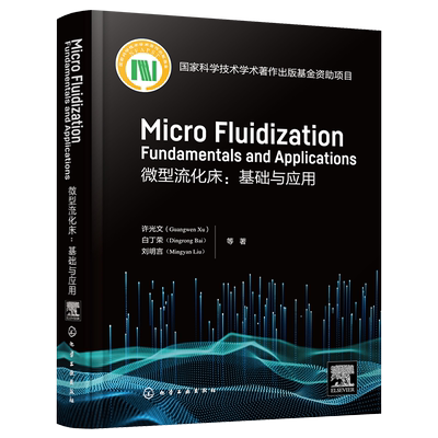 微型流化床 基础与应用 Micro fluidization: Fundamentals and Applications英文 微型流态化基本原理 流体力学特性 化工专业参考