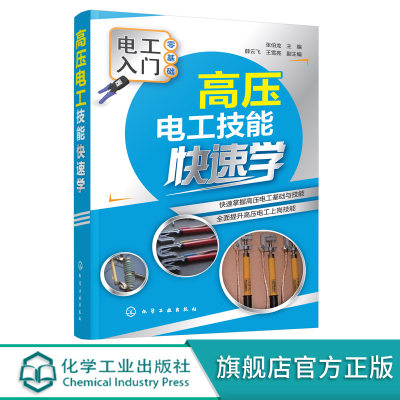 高压电工技能快速学 张伯龙 电工入门 高低电压电工操作技术书籍 电工维修 电工操作 电气设备操作安全培训教材