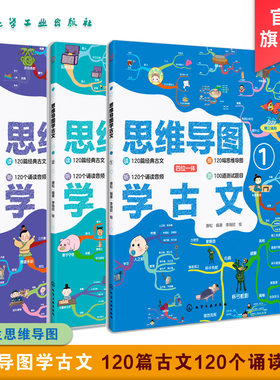 全3册 思维导图学古文 6-12岁小学生二三四五六年级3-6岁课外阅读文言文训练思维逻辑书 小学生快速记忆120篇经典古文思维导图诵读