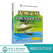 黄鳝泥鳅养殖技术大全鳝鱼繁殖防治病技术 高效养泥鳅黄鳝养殖书籍 无公害水产品安全生产技术丛书 泥鳅黄鳝无公害安全生产技术