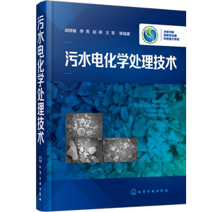 污水电化学处理技术 胡筱敏 李亮 污水处理技术书籍 水污染治理 水环境管理 废水电化学处理技术基本原理工艺流程设计计算操作管理