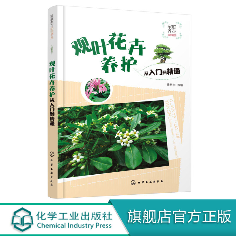 观叶花卉养护从入门到精通 家庭养花从新手到高手 四季养花书籍种花图书大全 花卉种植技术书籍 室内植物盆栽花卉养殖 养花知识书