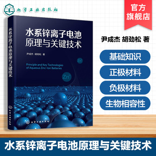 水系锌离子电池原理与关键技术 水系锌离子电池知识手册 实验数据与案例分析 水系锌离子电池充放电机理 表征方法与工程化应用丛书