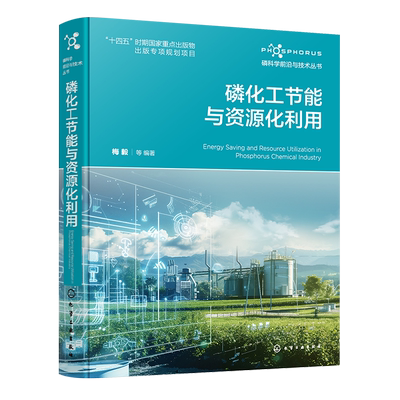 磷科学前沿与技术丛书 磷化工节能与资源化利用 磷化工节能与资源化利用关键技术 黄磷生产工艺 黄磷尾气资源化利用 磷化工参考书