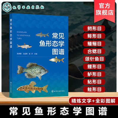 常见鱼类分类与鉴定指南
