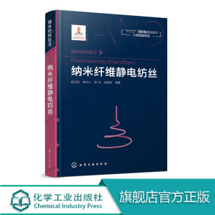 熔体静电纺丝工业化技术及应用书 熔体静电纺丝技术 纳米材料前沿 原理 模拟分析工艺进展书籍 十三五规划项目 纳米纤维静电纺丝