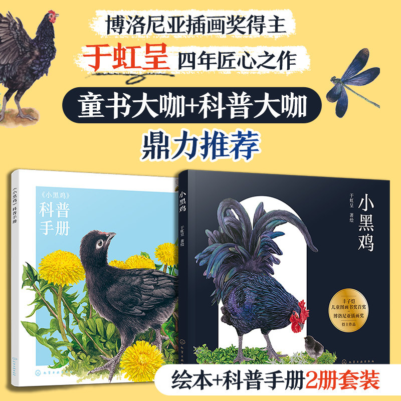 小黑鸡于虹呈博洛尼亚插画奖