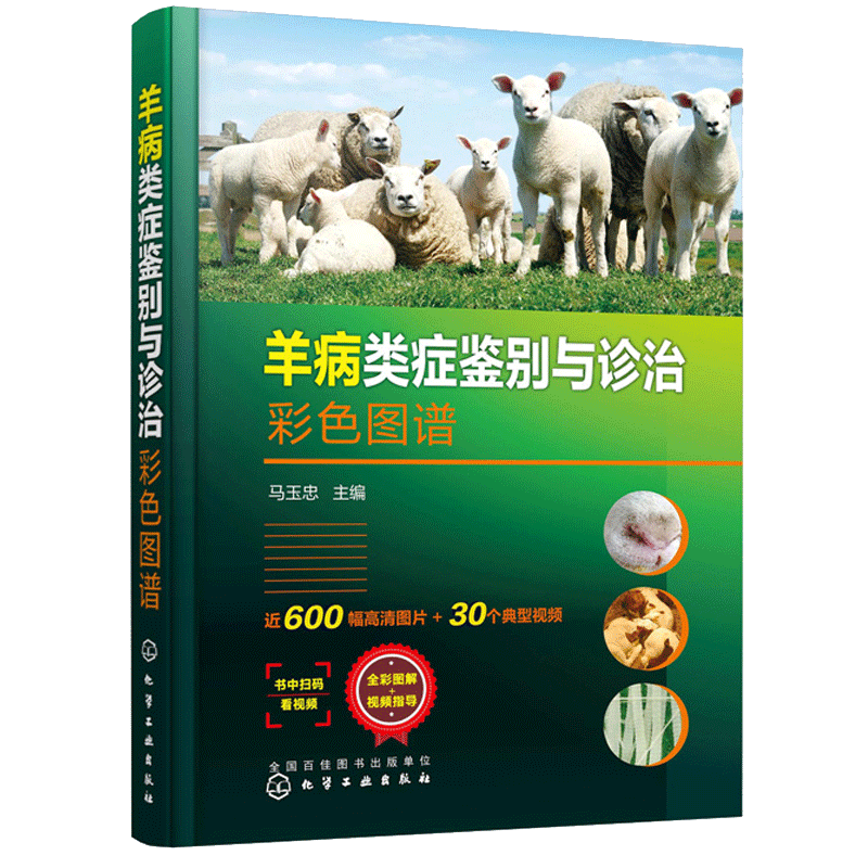 正版 羊病类症鉴别与诊治彩色图谱 羊常见病病例分析诊断 羊类生病治疗防治用药工具书 羊场兽医养羊专业大户收益相关师生指导书
