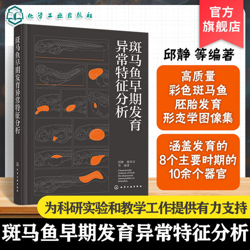 包含大量彩色清晰斑马鱼胚胎发育各时期的形