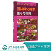 园林苗木繁育丛书 花卉种植冯莎莎化学工业出版 园林绿化树种 园林树木整形技术 社 林木栽培 园林绿化树木整形与修剪