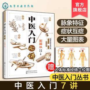 图解 中医入门七讲 曲淼郑琴 零基础学中医中药中医入门自学 中医基础理论入门中医养生书籍舌诊脉诊中医书籍大全 医学书籍彩图版
