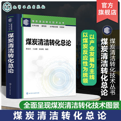 煤炭清洁转化技术丛书 煤炭清洁转化总论 煤炭高效清洁转化 现代煤化工 煤炭反应性 煤炭清洁转化技术图景 现代煤化工入门指南