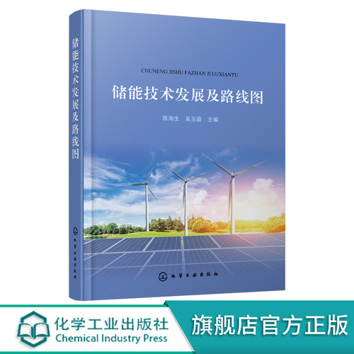 储能技术发展及路线图 陈海生  吴玉庭 能源与动力工程 储能产业发展 储能技术特性市场化应用模式储能源产业发展研究报告