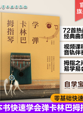 学弹卡林巴拇指琴教程