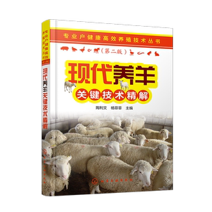 专业户健康高效养殖技术丛书 现代养羊关键技术精解  繁育技术 营养需要及饲料 肉羊绵羊饲养管理 常见病防治 科学牛羊养殖书籍