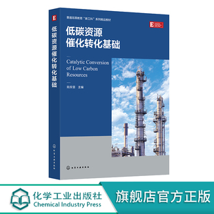 低碳资源催化转化基础 陆安慧 低碳资源高值化利用催化反应过程 催化原理及工艺集成新方法 高等院校化学 化工 材料等专业参考教材