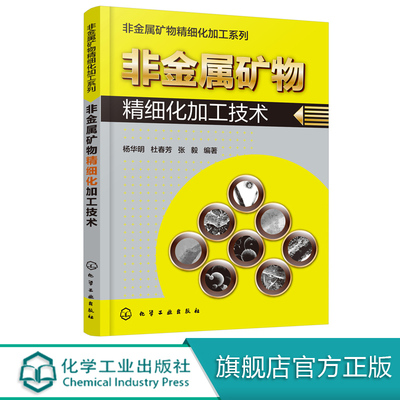 非金属矿物精细化加工技术 金属学与金属工艺加工 综合利用技术 选矿提纯技术 粉体加工技术 表面改性晶形保护 颗粒整形技术图书籍