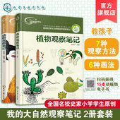 12岁小学生手绘原创写作培养书 动物植物大自然观察6 思维观察训练科普绘本小学课外阅读百科观察力训练全书 大自然观察笔记 我