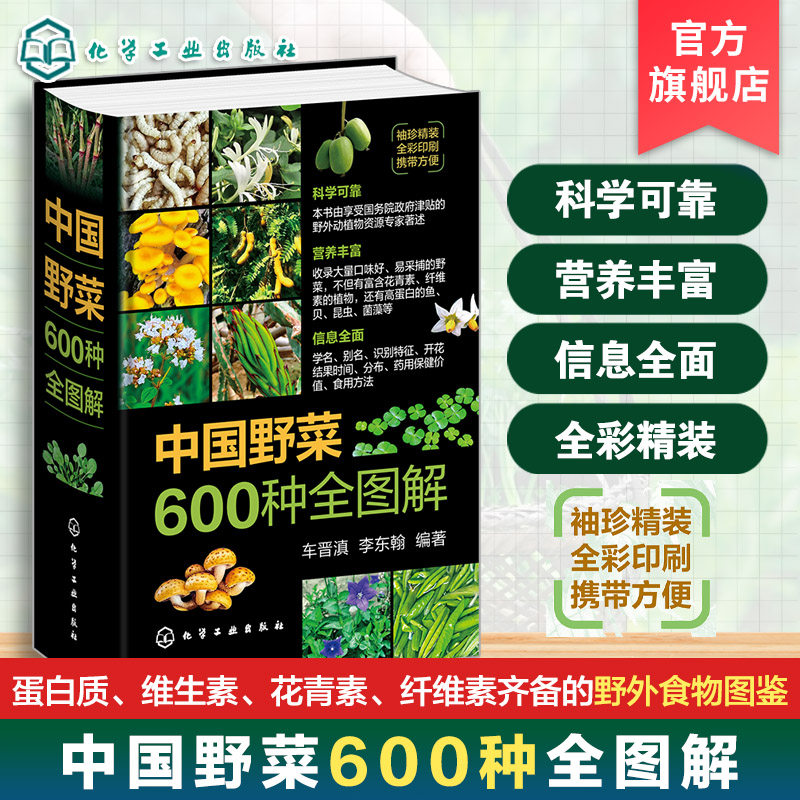 便携小开本 中国野菜600种全图解 野生植物分布食用方法药用保健特征识别科普读物彩色图鉴 药食同源健康饮食营养食疗养生一本通书