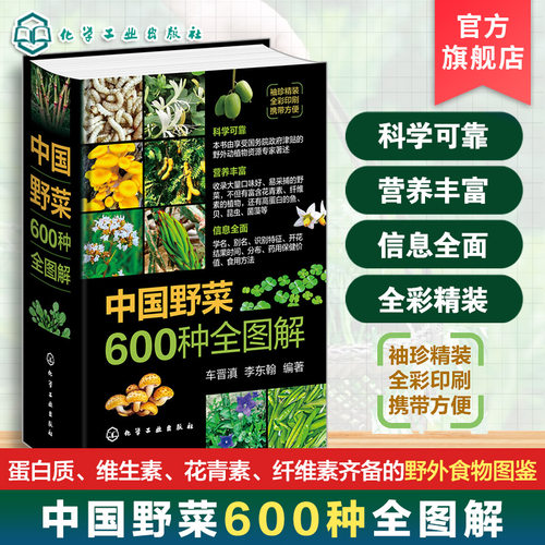 蛋白质、维生素、花青素、纤维素齐备，野菜