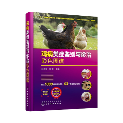 鸡病类症鉴别与诊治彩色图谱 孙卫东 诊疗防治养鸡技术书鸡常见症状诊断防控策略兽医书籍 安全用药家禽养殖大全高效土鸡实用手册