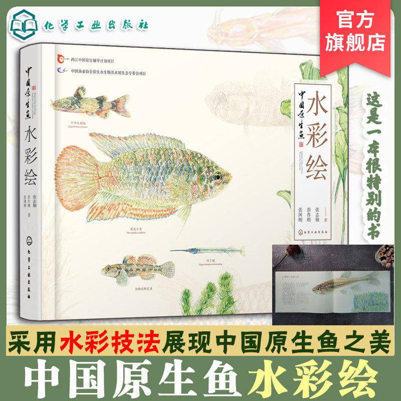 中国原生鱼水彩绘 张国刚 彭作刚 常见原生鱼类精美原创水彩画物种饲养体验等中国原生鱼美艳鉴别鱼种中国小型淡水鱼饲养殖常识书