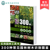300种常见园林树木识别图鉴 庭院风景花卉种植栽培技术书园林绿化植物书籍 景观学植物爱好者等工具农业园艺书大全
