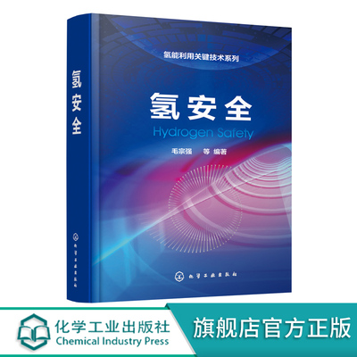 氢能利用关键技术系列 氢安全 毛宗强 氢安全基础知识书籍 氢气利用过程中的安全原理策略 氢制取储运应用和氢能基础设施