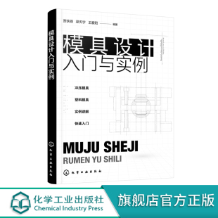 实例讲解塑料模具冲压模具设计 模具零件结构设计 冲压模具设计快速入门书籍 冲压模具和塑料模具设计基础知识 模具设计入门与实例