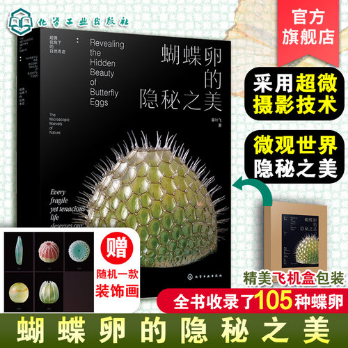 蝴蝶卵的隐秘之美 章叶飞 蝴蝶生长发育自然科普读物 昆虫科普图鉴微距摄影 蝴蝶大百科 昆虫记虫子王国 野外蝴蝶图解图谱一本通书